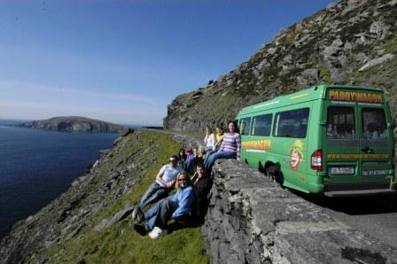 Dingle Group